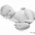 2014.4.8 vauvakuvaus vastasyntyneen kuvaus studiokuvaus 7